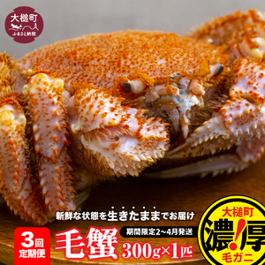 【令和9年発送先行予約】【3回定期便】三陸産 活毛ガニ 300g相当×1杯【08】 【期間限定2027年2月～4月発送】