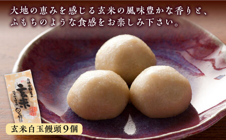 冷凍白玉饅頭詰合せ Bセット 白玉饅頭 / 佐賀県 / 白玉饅頭元祖吉野屋 [41AACQ002]