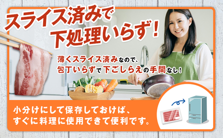 茨城県産 豚肉 ロース スライス 3kg 1パック 500g 株式会社セントラルフード 《30日以内に出荷予定(土日祝を除く)》肉 豚肉 ロース 国産 スライス 生姜焼き 茨城県 結城市