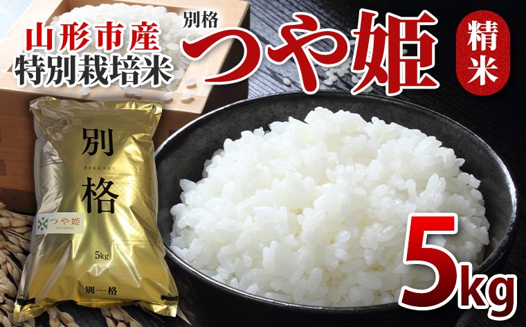 
                  特別栽培米 つや姫 精米5kg FY26-069
                