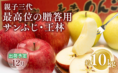 【全国ふじコンテスト最高賞受賞・青森りんご・平川市広船産・12月発送】年内　贈答用　親子三代最高位のサンふじ・王林約10kg