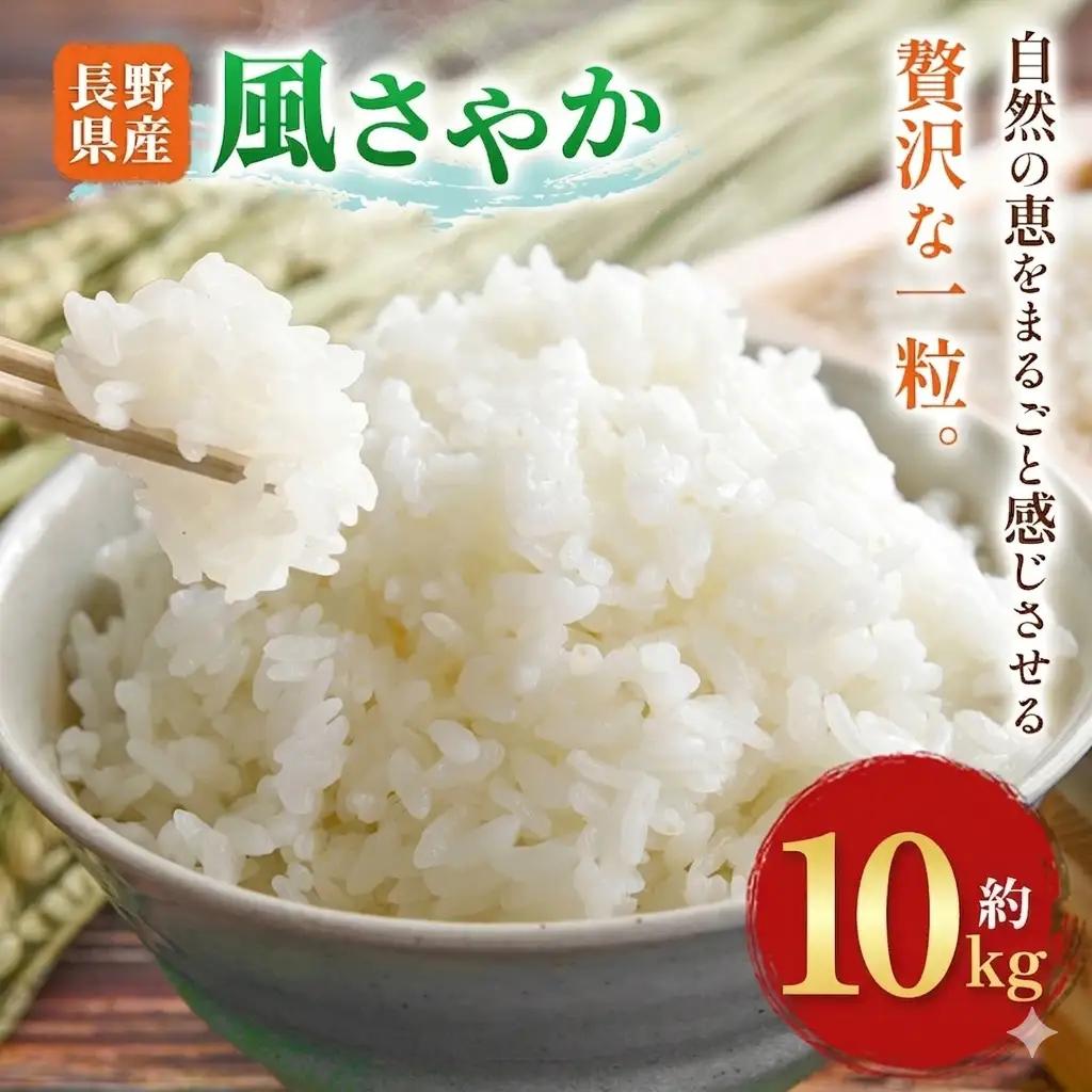 木島平村産 風さやか 約10kg | 米 風さやか 長野 長野県 長野県産 木島平村 木島平村産