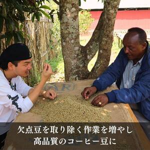 ガルテンビコーヒー 2種飲み比べセット　豆のまま　500g（250ｇ×2袋）