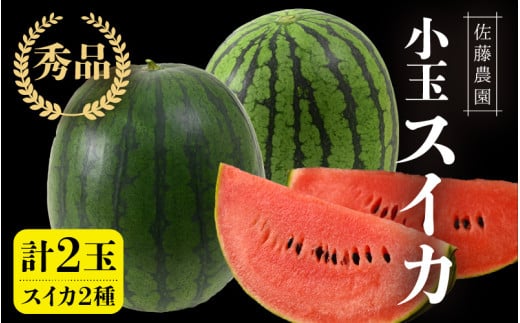 【先行予約】抜群の甘さ！佐藤農園の小玉スイカ 食べ比べセット 2玉（計3.6kg～5kg）／ 秀品 農家直送 有機肥料 低農薬 ※2025年6月上旬より順次発送予定 [aw069-a007]