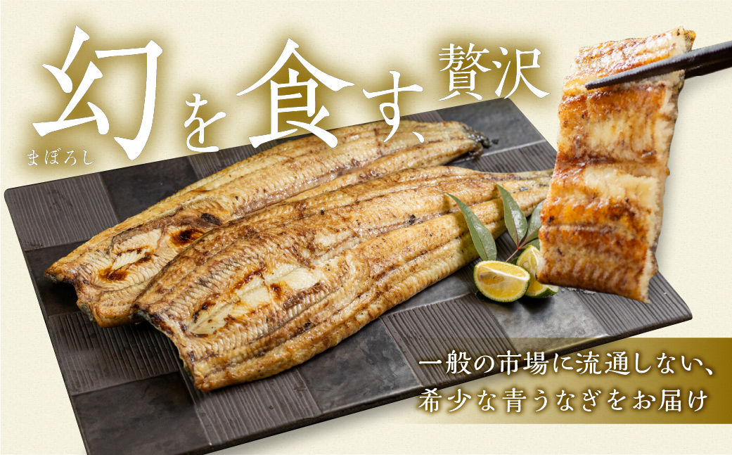 【冷蔵】厳選 高級 青うなぎ 白焼 6尾 900g 