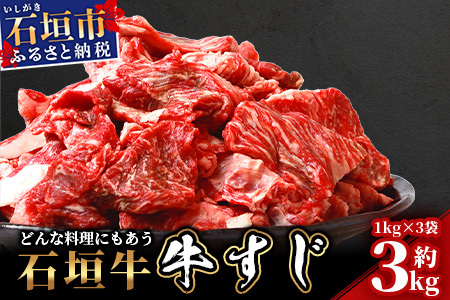 石垣牛・牛すじ ３kg （1kg×3） 冷凍便【 沖縄県 石垣市 牛肉 お肉 牛スジ 牛筋 煮込み おでん カレー 】 SI-86