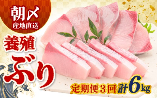 【定期便】ぶり 2kg × 3回 冷蔵 サンライズファーム