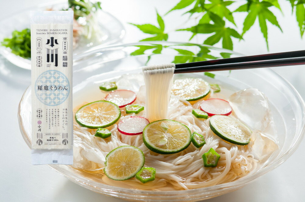 【ふるさと納税】小川の稲庭そうめんS-4（2ケース） ふるさと納税 秋田県 稲庭そうめん 素麺 ケース 【(株)稲庭うどん小川】[D5-05010]