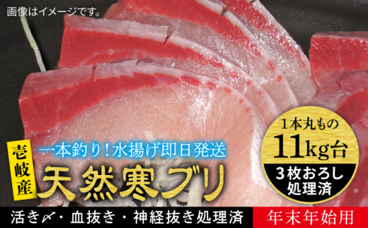 【11/1〜1/15お届け 年末年始用】天然 寒ブリ（11キロ台・3枚おろし） 《壱岐市》【壱岐島　玄海屋】[JBS038] ぶり 寒ぶり ブリ 魚 刺身 しゃぶしゃぶ   39万 400000 400000円 40万円