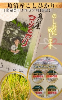 【ふるさと納税】魚沼産コシヒカリ特上米5kg×6回定期便 お米 おこめ こめ 精米 白米 こしひかり 6ヶ月 お楽しみ 新潟 　お届け：通年：ご寄付のご入金後、1回目は2週間以内に発送いたします。（2ヶ月に1回、計6回お届けします）