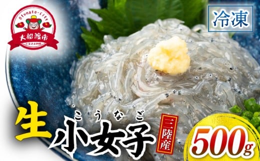 生 小女子(こうなご) 三陸産 数量限定 500g 冷凍 刺身 生食 小分け 刺身用 生食可能 小女子 こうなご 新子 しんこ イカナゴ 稚魚 新鮮 海鮮 魚介 国産 取り寄せ グルメ 急速冷凍 岩手 大船渡 岩手県 大船渡市 