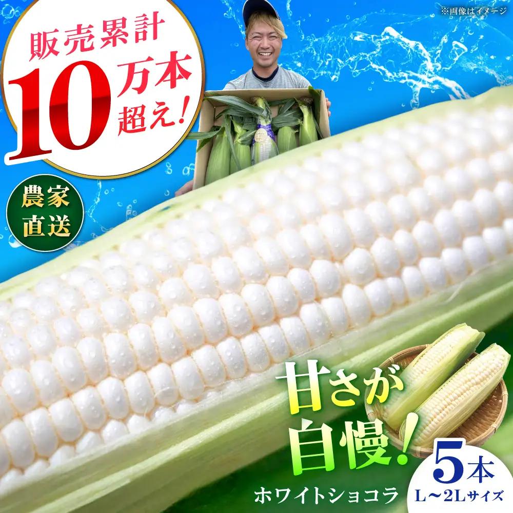 【先行予約】 白いとうもろこし 5本 ホワイトショコラ とうもろこし  [BDAX001]