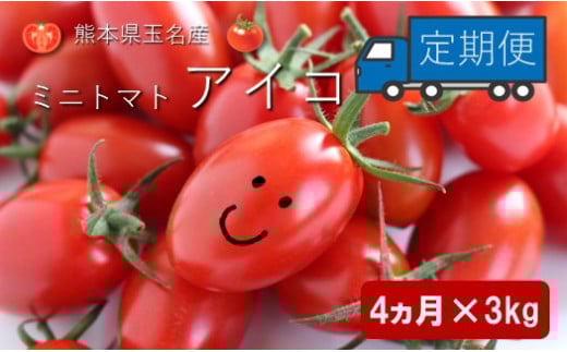 ミニトマト アイコ 【4ヶ月定期便】 | 野菜 やさい トマト とまと みにとまと 熊本県 玉名市 定期 定期便