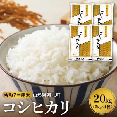 ふるさと納税 河北町 【令和7年産米】2026年3月下旬発送 コシヒカリ 20kg 山形県産 【米COMEかほく】