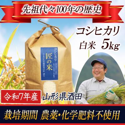 ふるさと納税 酒田市 【栽培期間中農薬不使用】コシヒカリ 精米5kg 大粒LLサイズ以上厳選 令和7年産