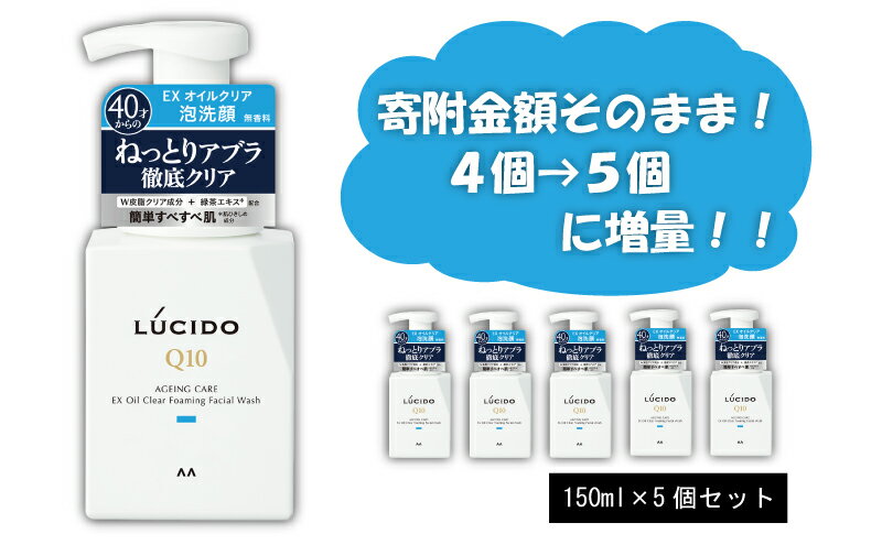 【ふるさと納税】 マンダム ルシード EXオイルクリア泡洗顔 （5個セット）MA-22[ LUCIDO 男性化粧品 おしゃれ 日用品 ]　美容・トータルケア泡洗顔・洗顔・スキンケア・クレンジング