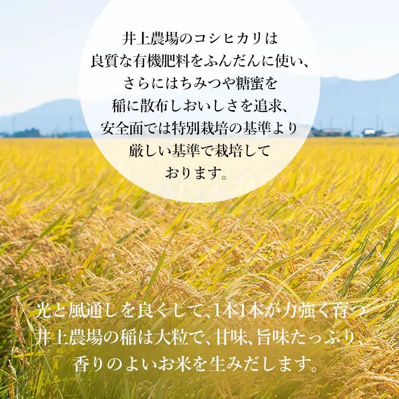 【令和8年産 先行予約】【定期便6ヶ月】井上農場のコシヒカリ 無洗米 6kg(2kg×3袋)×6ヶ月　K-856