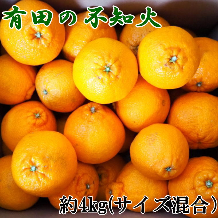 ZD6380n_【2026年先行予約】【濃厚】有田産不知火約4kg（2L～5Lサイズ混合）