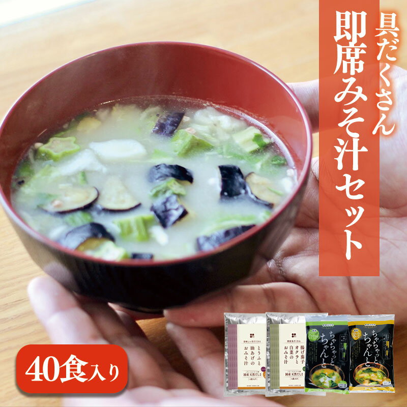 【ふるさと納税】 具だくさん即席みそ汁セット（40食入り） | 即席 レトルト 味噌 味噌汁 みそ汁 簡単 便利 具だくさん 食べ比べ 父の日 一人暮らし 愛媛県 松前町 ギノーみそ