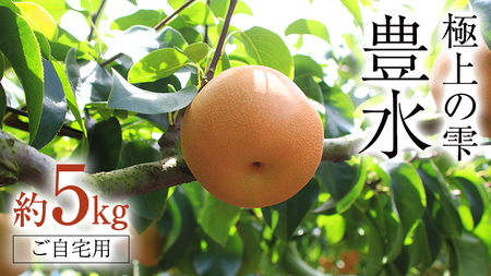 極上の雫 『 豊水 』 5kg ( 自家用 ) 2026年産 先行予約 [DJ002ci]