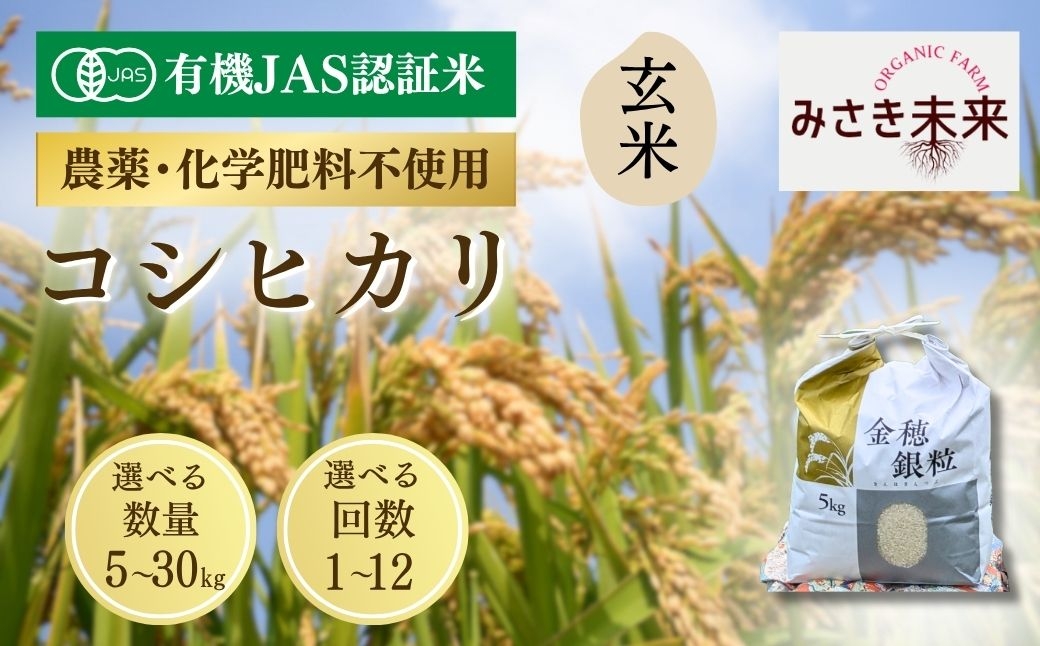 
                  【コシヒカリ】玄米 選べる容量 単品 / 定期便 令和8年産 | 有機JAS米 有機栽培 有機米 精米 お米 米 こめ コメ 福島産 福島県産 南相馬 みさき未来 コシヒカリ こしひかり 福島県産コシヒカリ 福島県産こしひかり
                