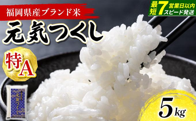 【最短7営業日以内発送】福岡県産米 元気つくし 5kg 精米 令和8年産 ※北海道・沖縄・離島は配送不可【精米 8年産 国産 福岡県産 お米 ブランド米 5kg げんきつくし】CY022