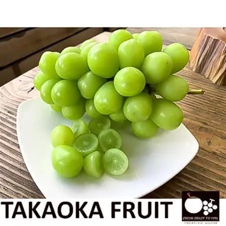 2026年発送「産地より信州中野の旬をお届け」 シャインマスカット　贈答用　約1kg【配送不可地域：離島】【1311083】