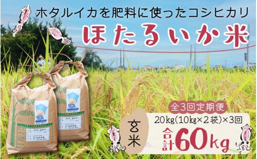 
                  ほたるいか米（玄米20kg）×3回 計60kg【3ヶ月定期便】 訳あり 米 コシヒカリ 玄米 こしひかり 頒布会 白米 産直 ほたるいか ホタルイカ お米 ブランド米 富山 滑川 農家直送 お米 おこめ こしひかり ホタルイカ 蛍烏賊 富山県 滑川市 コンシェルジュ 訳あり kome 20キロ ごはん おにぎり
                