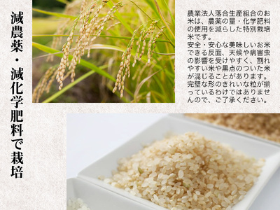 【先行予約・新米】Aランク会津コシヒカリ特別栽培米「磐梯渓谷」 （減農薬栽培）10kg新米