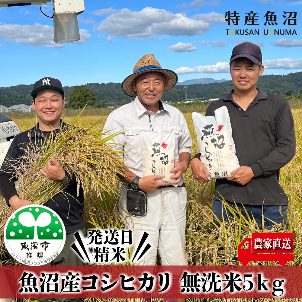 【ふるさと納税】令和7年産 農家直送！ 魚沼産 コシヒカリ 無洗米 5kg （ 米 こしひかり お米 こめ コメ 魚沼産コシヒカリ 魚沼 新潟 魚沼産こしひかり おこめ 白米 精米 ） 　お届け：寄附入金確認後、約2週間～1ヶ月ほどでお届けとなります