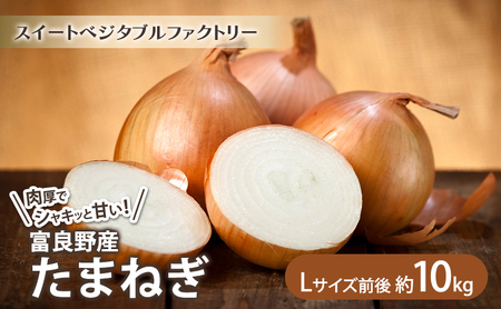 【2025年8月上旬より発送】北海道富良野産 たまねぎ 【約10kg】 (Lサイズ前後) (スイートベジタブルファクトリー) 野菜 新鮮 直送 朝採り たまねぎ 玉ねぎ 玉葱 人参 道産 北海道 ふらの