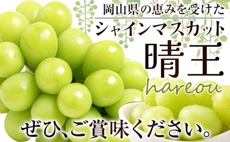 【2026年発送】シャインマスカット 晴王 約600g 晴レ乃青果　(岡山中央卸売市場店(富士紙工 有限会社)) シャインマスカット