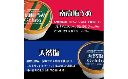 ジェラート アイス アイスクリーム  / プレミアムジェラート 詰め合わせセット（6種類×2個） アイスクリームセット 100mlカップ ゆあさジェラートラボラトリー【kmtb701】