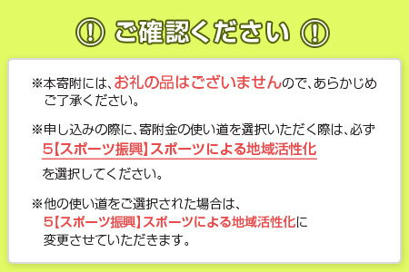 活動支援 ヴィアマテラス宮崎 500,000円 スポーツ 支援 S29-05