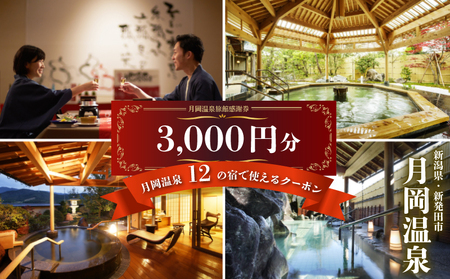 月岡温泉旅館 感謝券 (計3,000円分) 【もっと美人になれる温泉】 新潟県 新発田市 A01