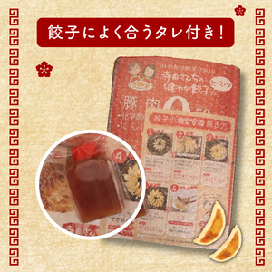 【 メディア出演多数 】 やさしい 生 餃子 110個 餃子