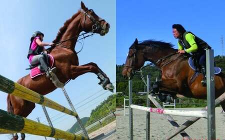 初心者歓迎 マンツーマン乗馬教室30分×4回 エヒメ乗馬クラブ（小学生以上1名）