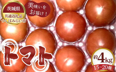 トマト　約4kg（15～20個）【茨城県共通返礼品 つくばみらい市】 No.331