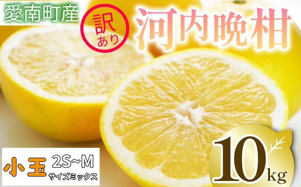  訳あり 河内晩柑 10kg 小玉 2S M サイズミックス 家庭用 愛媛県 愛南町 清家ばんかんビレッジ