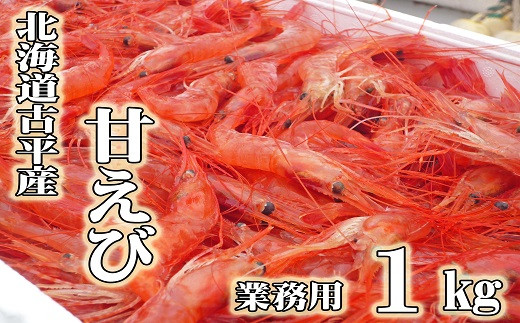 【110006】【業務用】北海道古平産 漁師直送！甘えび１kg