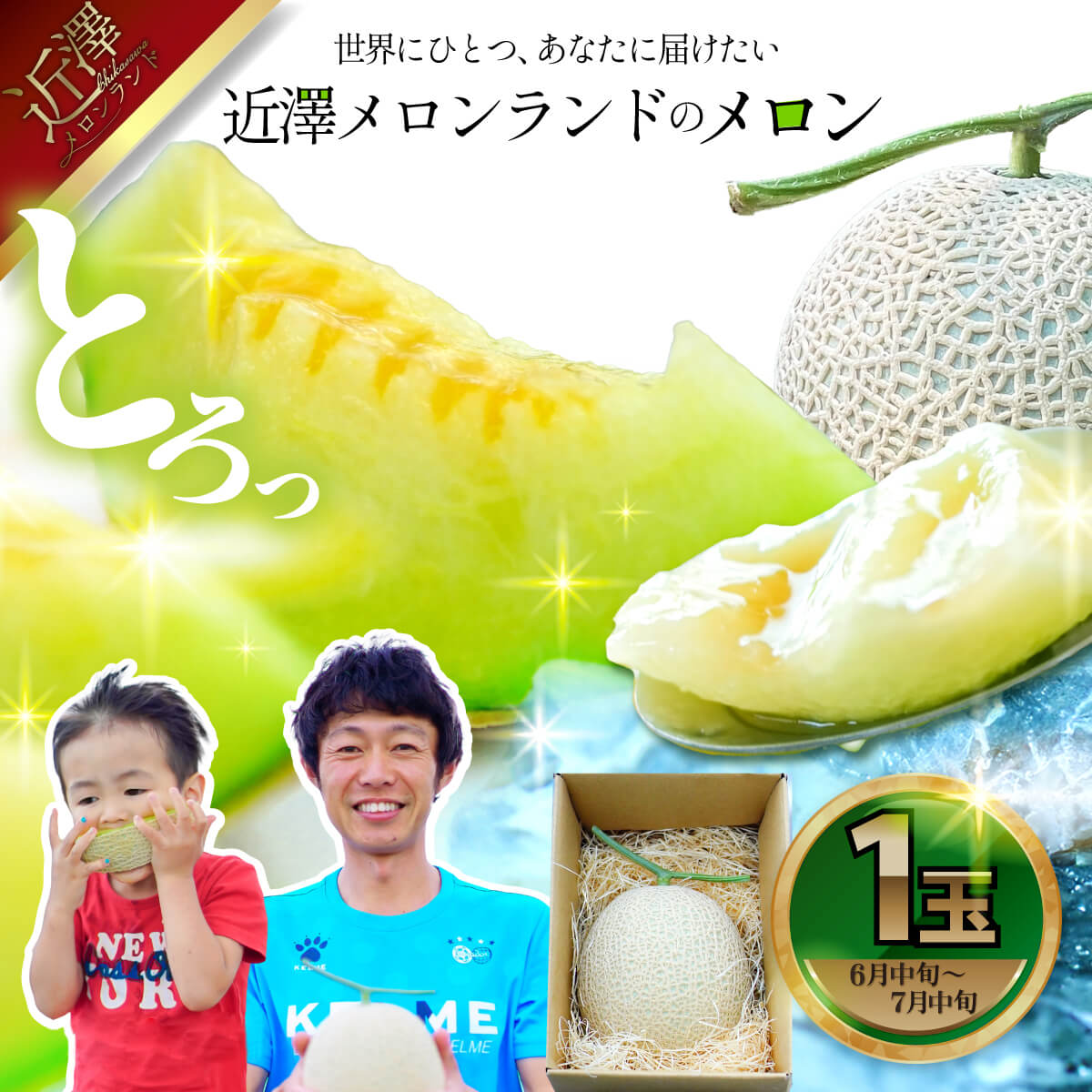 【ふるさと納税】先行予約 メロン 1玉入（約1.4kg〜1.8kg）青肉 2026年夏発送 期間限定 メロン めろん マスクメロン 舐瓜 果物 くだもの フルーツ デザート ハウス栽培 高知県産 国産 土佐市 返礼品 ランキンング 高知県 土佐市 こうち 返礼品