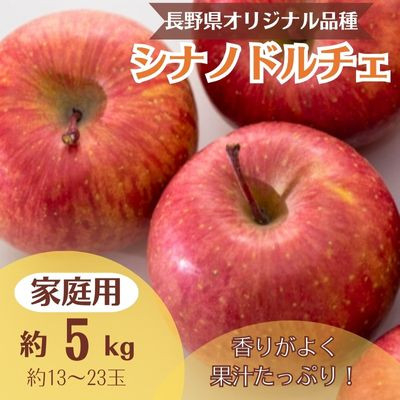 
            りんご シナノドルチェ 約5kg 家庭用(13玉～23玉)【1495967】
          