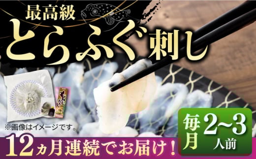 【全12回定期便】とらふぐ 刺身 （2〜3人前）《壱岐市》【なかはら】[JDT026] ふぐ フグ 河豚 とらふぐ トラフグ 刺身 刺し身 ふぐ刺し フグ刺し とらふぐ刺し トラフグ刺し てっさ ふぐ刺身 とらふぐ刺身 360000 360000円 冷凍配送