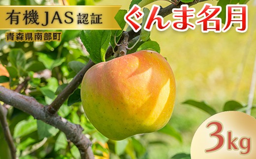 
有機JAS認証 りんご ぐんま名月 約3kg 【和楽堂りんご養生農苑】 青森りんご リンゴ 林檎 アップル あおもり 青森 青森県 南部町 三戸 南部 果物 くだもの フルーツ オーガニック F21U-321
