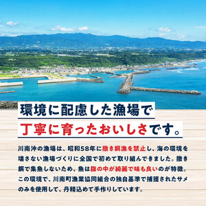 川南獲れフカ（鱶）使用！フカフカフライ　5パック 【 サメ フライ 時短 川南町 通浜直売所 九州 宮崎県 川南町 送料無料 】