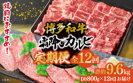 博多和牛 霜降りカルビ 全12回定期便 約800g×12回 072-T095