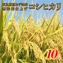 【ふるさと納税】令和6年産 石見高原みずほ米コシヒカリ 無洗米仕上　10kg