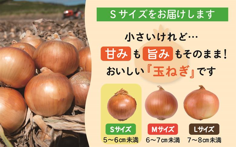 【数量限定訳あり品】玉ねぎＳサイズ・10kg（2026年2月から順次発送） BHRG147