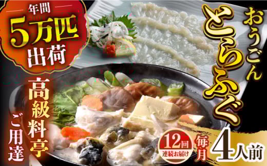 【全12回定期便】活〆おうごんとらふぐ プレミアムセット（4人前）平戸市 / 松永水産 [KAB275]おうごんとらふぐ トラフグ ふぐ フグ 海鮮 高級魚 刺身 鍋 長崎 通販 お取り寄せ