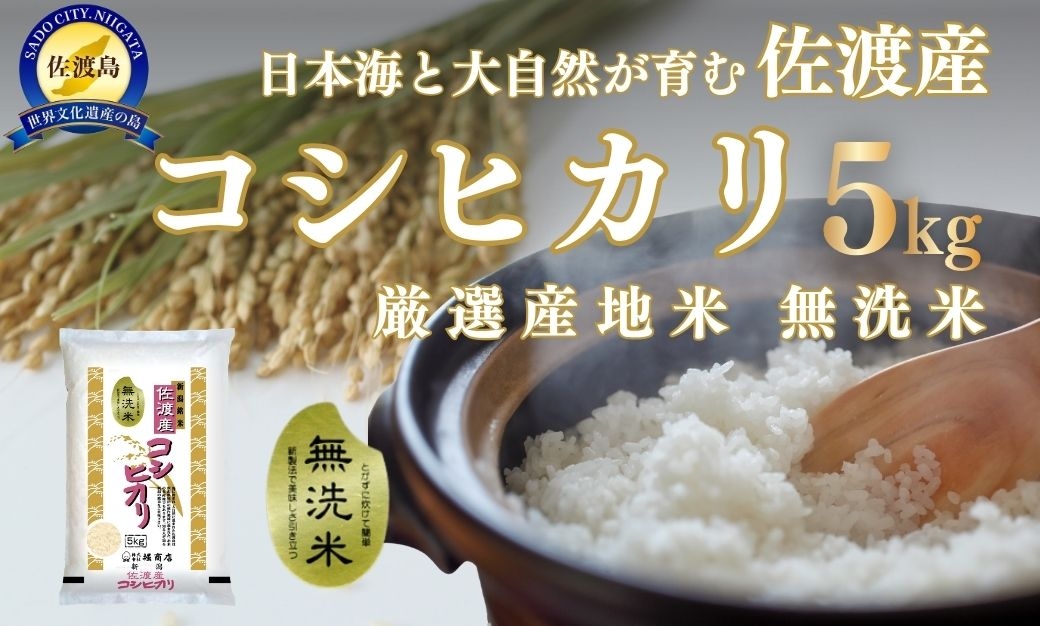 
                  【令和7年産】佐渡産コシヒカリ 無洗米5kg 国仲平野 | 新潟県産コシヒカリ 新潟産コシヒカリ 新潟コシヒカリ 佐渡産コシヒカリ 新潟県産こしひかり 佐渡産こしひかり お米 米 こしひかり 無洗米 むせんまい 精米 ブランド米 おこめ コメ 5キロ 国仲平野 にいがた さど 新潟県 佐渡市
                
